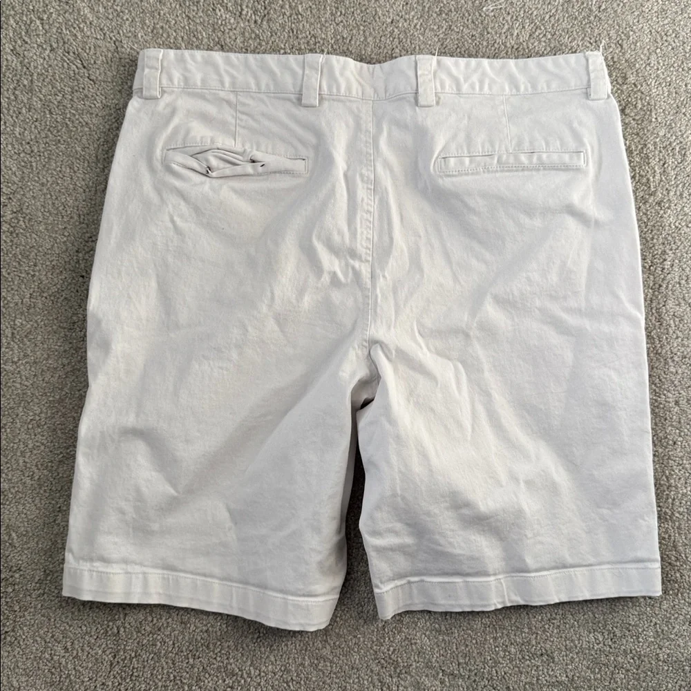 Tasso Elba shorts